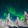 Escape the City and Find Peace in Lapland’s Wilderness: Day Trips from Rovaniemi