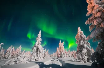 Escape the City and Find Peace in Lapland’s Wilderness: Day Trips from Rovaniemi